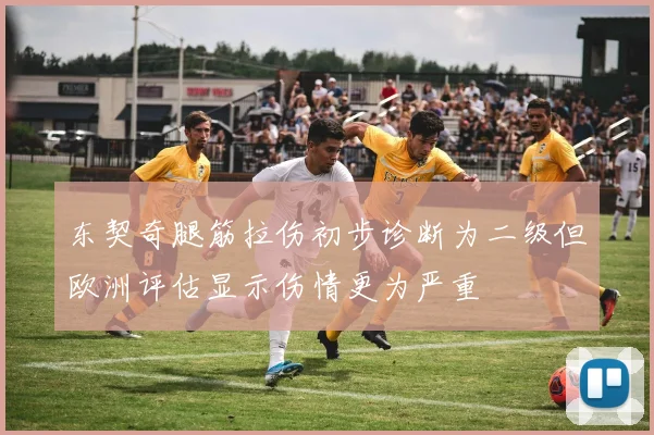 东契奇腿筋拉伤初步诊断为二级但欧洲评估显示伤情更为严重