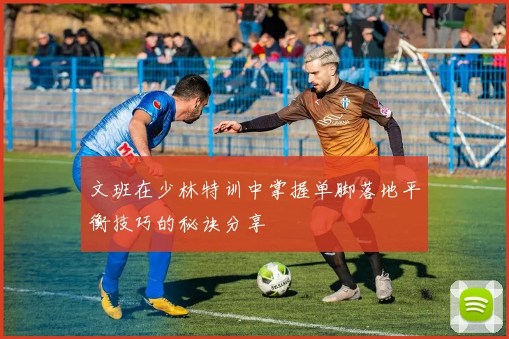 文班在少林特训中掌握单脚落地平衡技巧的秘诀分享