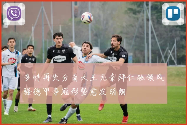 多特再失分南大王无奈拜仁独领风骚德甲争冠形势愈发明朗